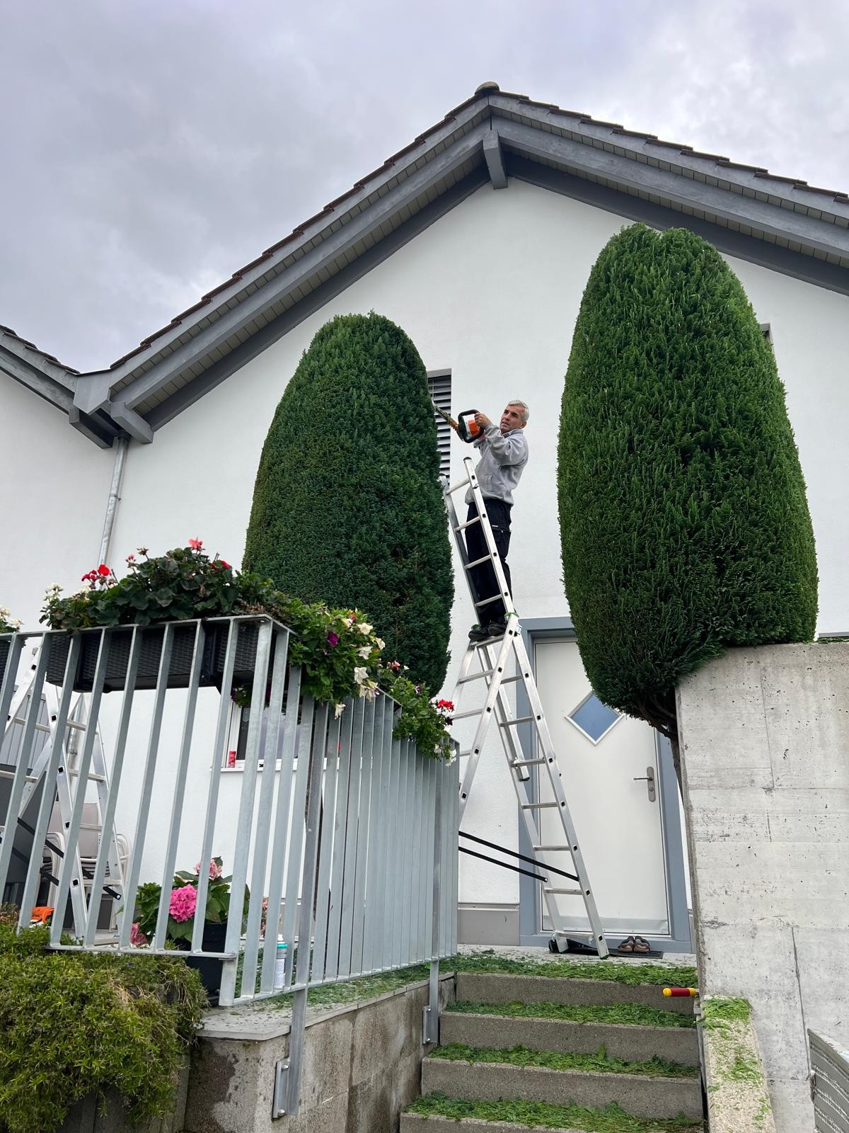 ULS Gartenpflege
